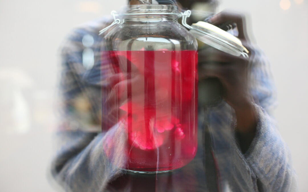 Fermentierte Getränke