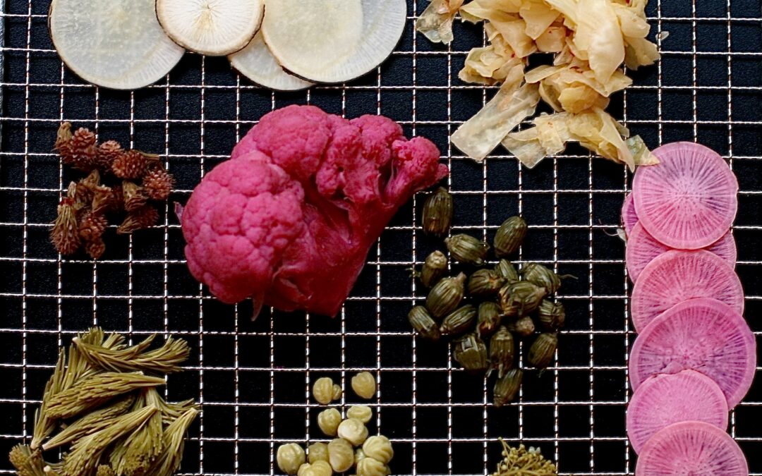 Fermentieren für Einsteiger*innen